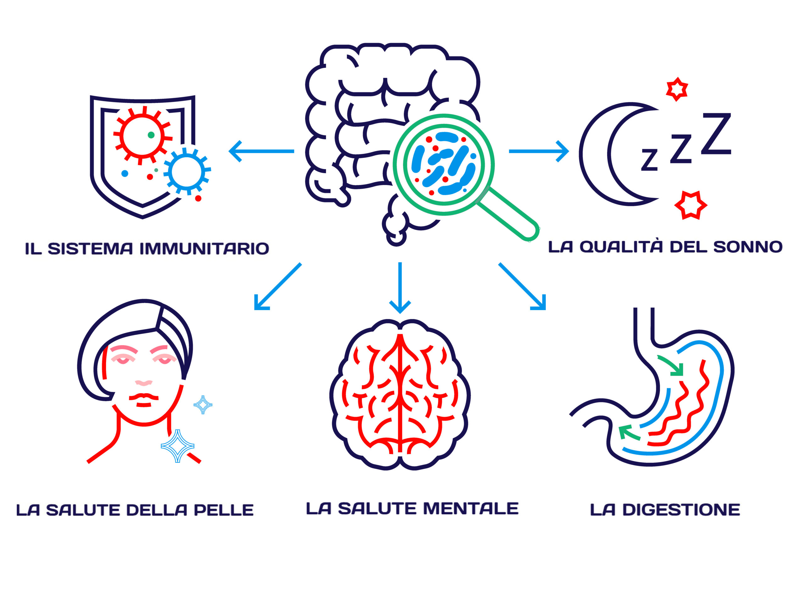 Perchè-è-importante-conoscere-il-proprio-microbioma-intestinale